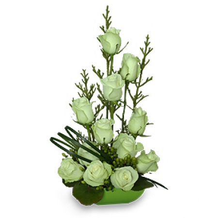 Green Royal - 12 Stems In Basket